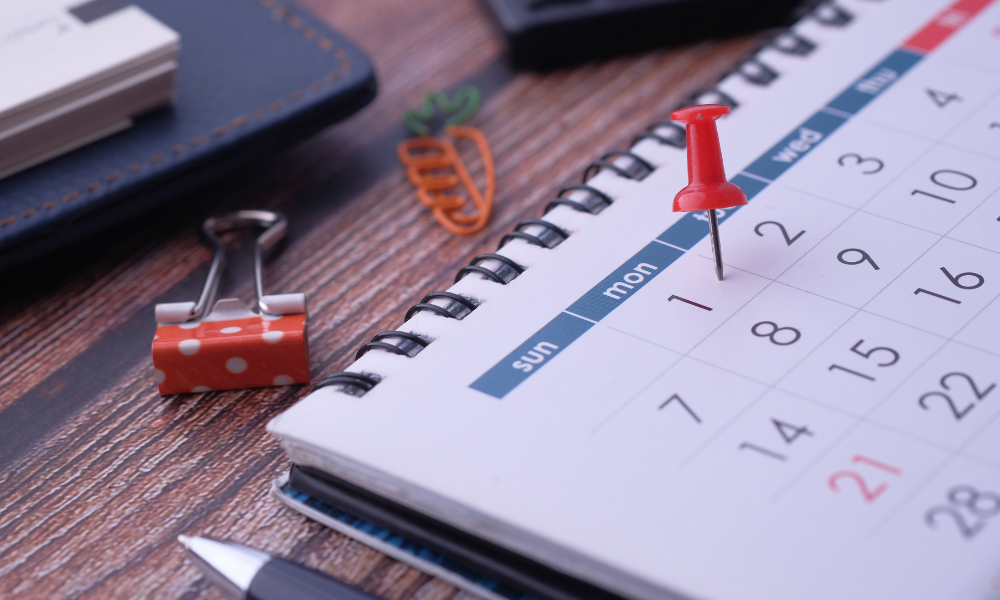 FERIADOS ANUAL 2024 AGENDA